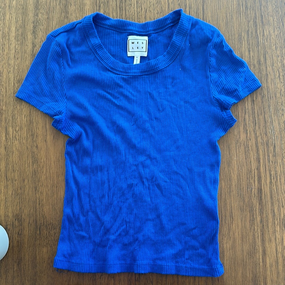 Wesley blue ribbed top